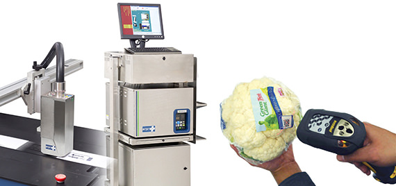 Handheld scanner reads code on package of shrink-wrapped cauliflower